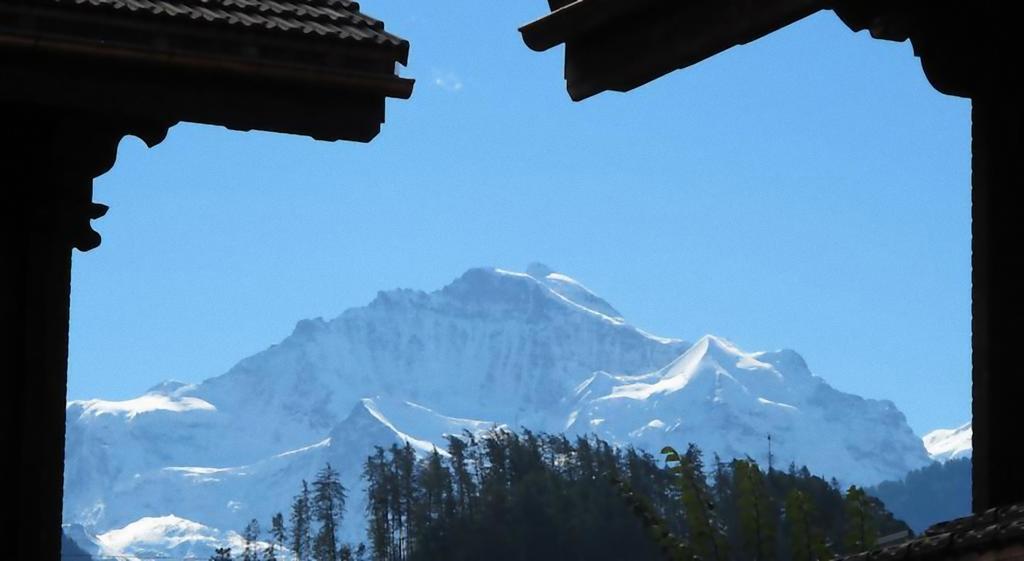 अपार्टमेंट Jungfrau